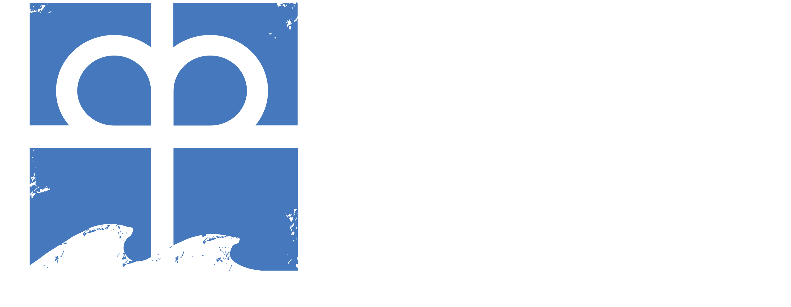 logo light